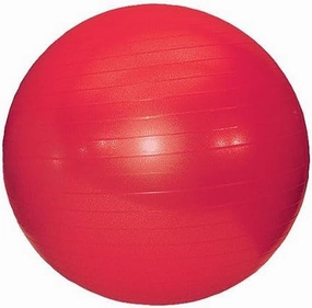 22" (55cm) Anti-Burst Exercise Ball