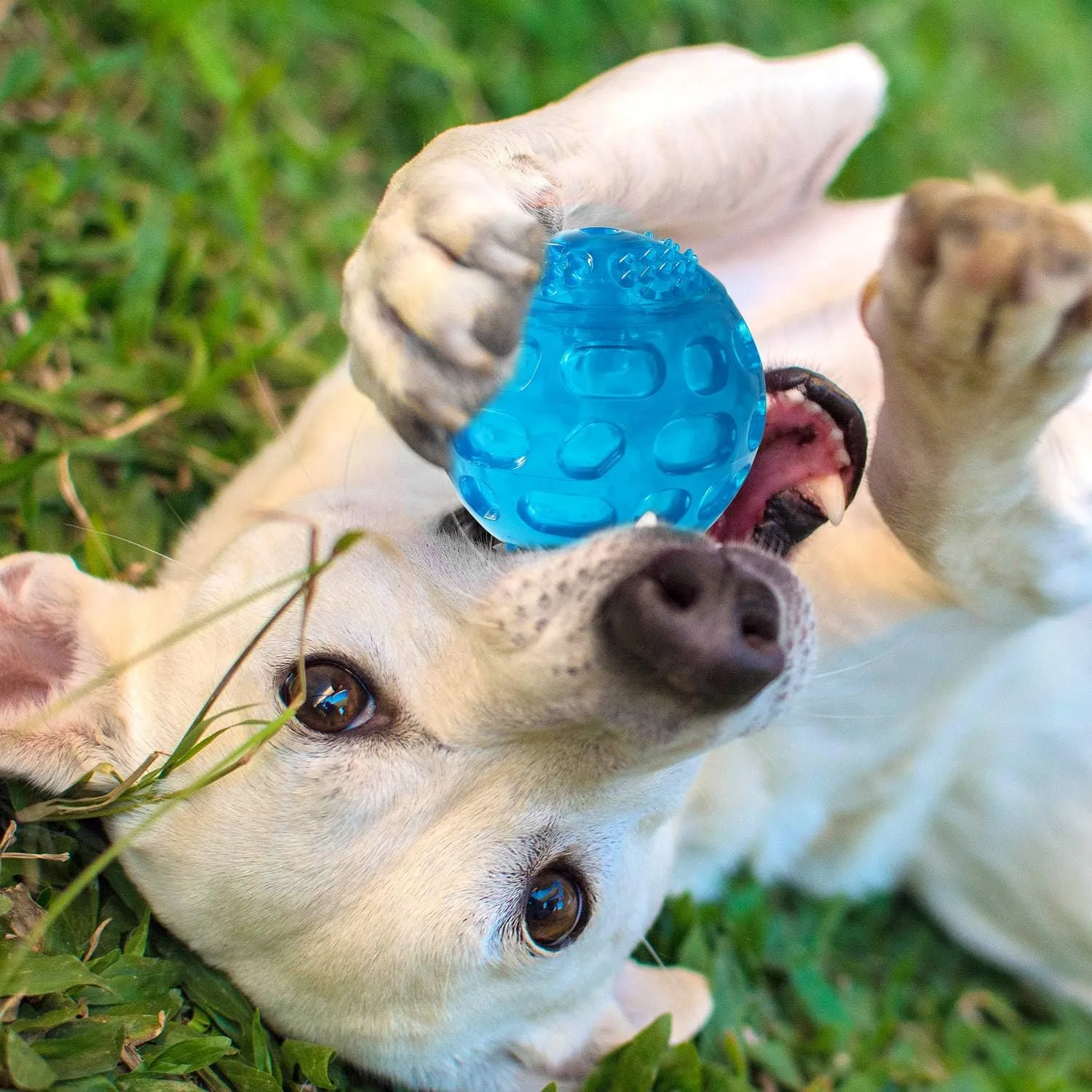 3'' Squeaky Dog Toy Balls for Lagre Medium Breed, Indestructible Dog Balls for Playing, Fetching & Retrieving, Durable Aggressive Chewers, 2 PCS Blue Purple