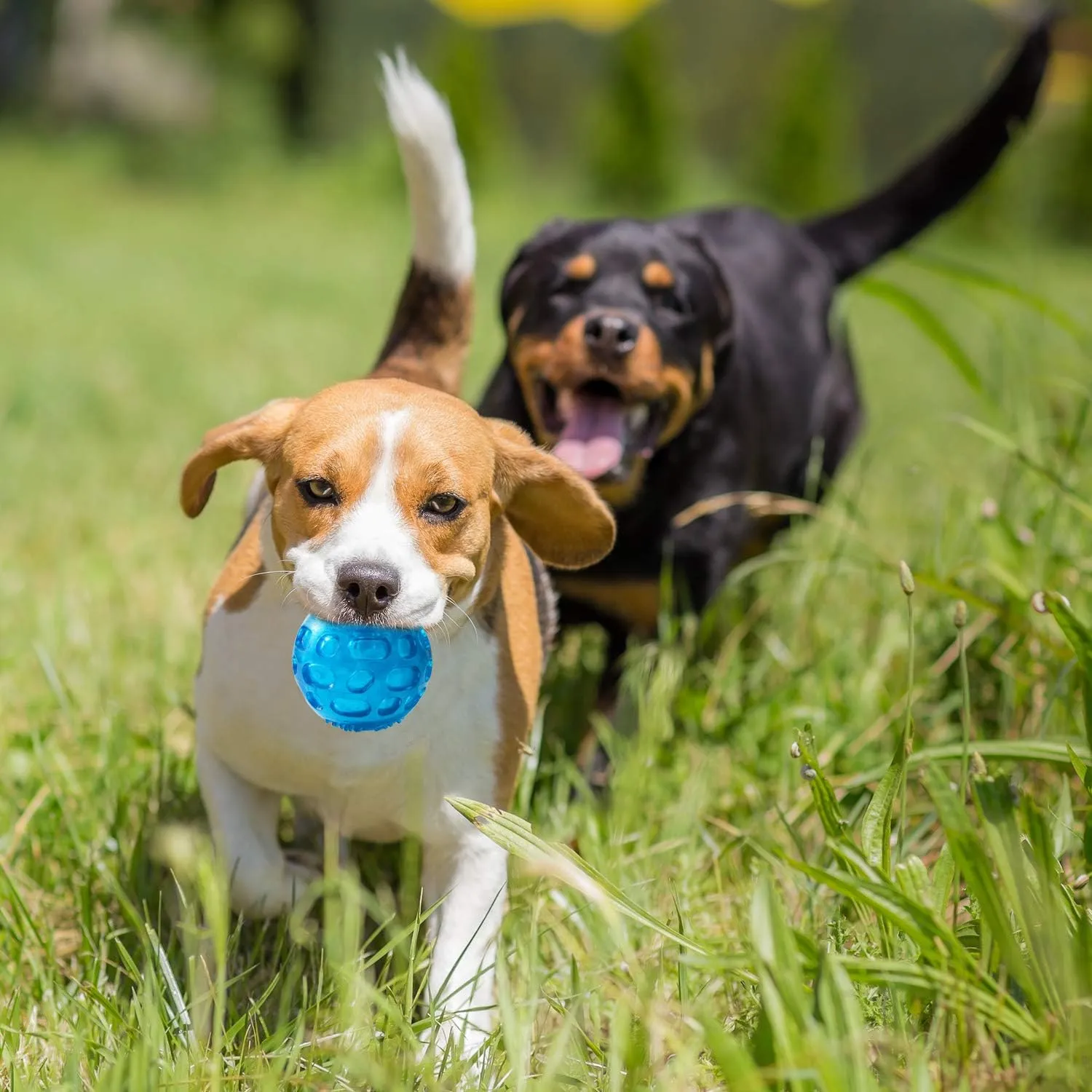 3'' Squeaky Dog Toy Balls for Lagre Medium Breed, Indestructible Dog Balls for Playing, Fetching & Retrieving, Durable Aggressive Chewers, 2 PCS Blue Purple