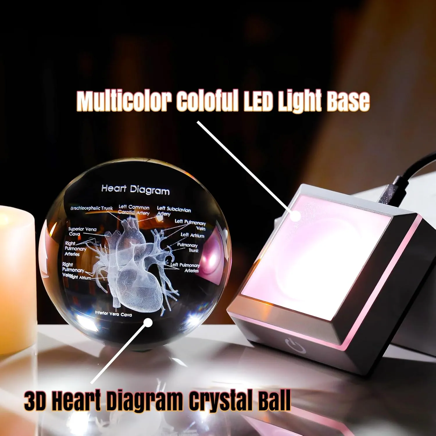 3D Human Heart 3.15 in. Crystal Ball Gifts for Men Cousin, Glass Sphere Etched Anatomical Heart Model Keepsake for Surgeon Doctor Cardiologist with LED Light Base