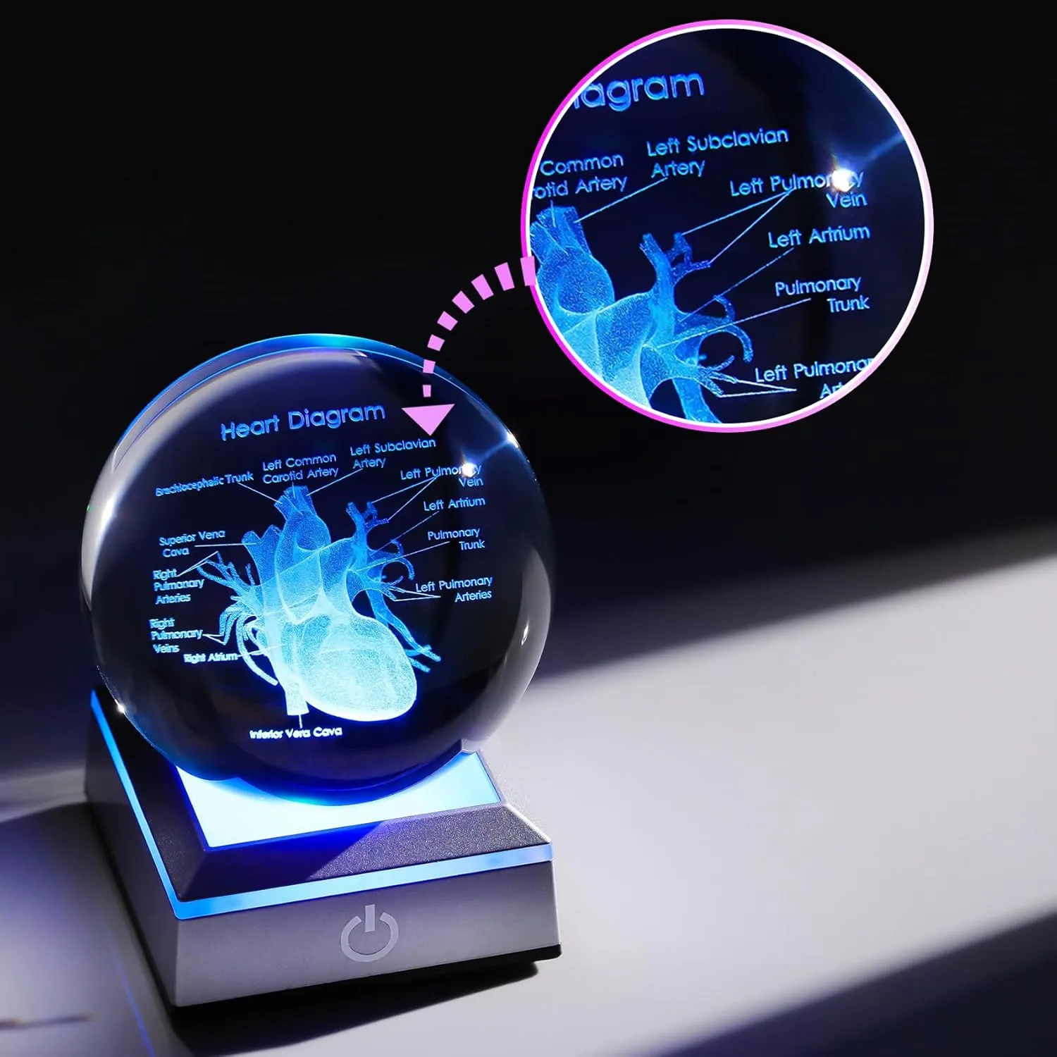 3D Human Heart 3.15 in. Crystal Ball Gifts for Men Cousin, Glass Sphere Etched Anatomical Heart Model Keepsake for Surgeon Doctor Cardiologist with LED Light Base