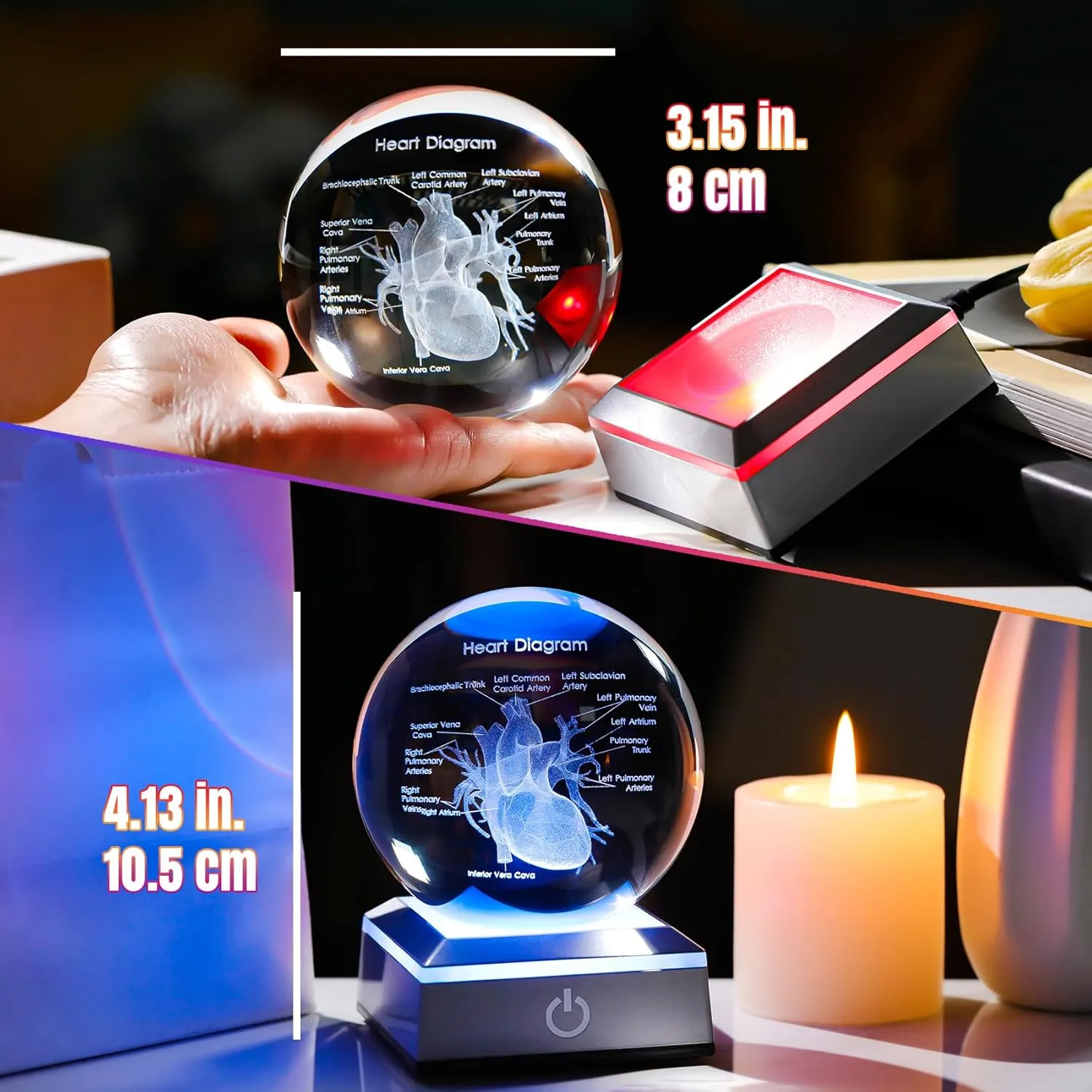 3D Human Heart 3.15 in. Crystal Ball Gifts for Men Cousin, Glass Sphere Etched Anatomical Heart Model Keepsake for Surgeon Doctor Cardiologist with LED Light Base