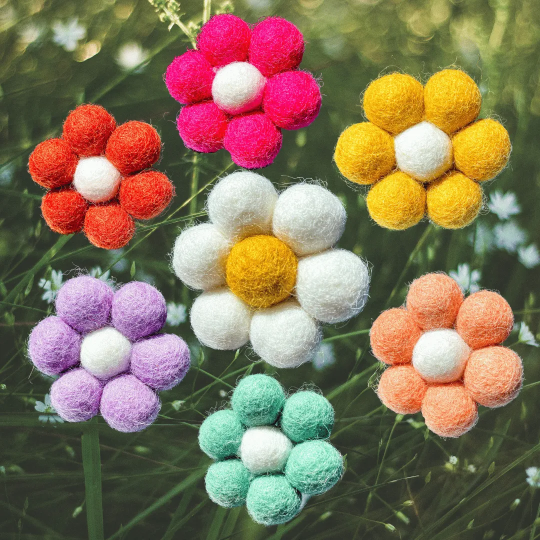 Daisy Magnets