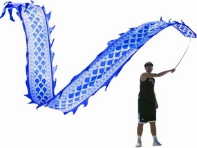 Dragon Dance Ribbon,3D Dragon Streamer Poi, Silk Dragon Dance Flowy Spinning Dancer with Fiberglass Handsticks, Fitness Colorful Practice Ribbon for Prom Party (Size : 8 m/26ft Long) (Color : 6 m/19.