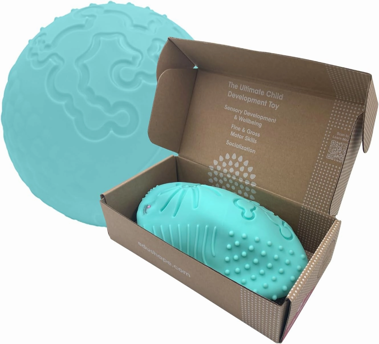 Edushape Texture-iffic Sensory Ball for Baby - 7" Baby Ball for Kids with 8 Sections of Different Tactile Patterns