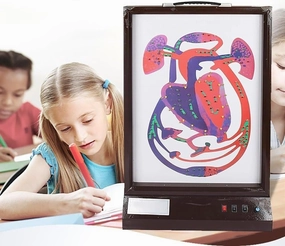 Electric heartbeat and blood circulation model, 3D dynamic teaching model with LED light, adjustable speed, accurately reflects the heartbeat cycle, suitable for science classroom learning display