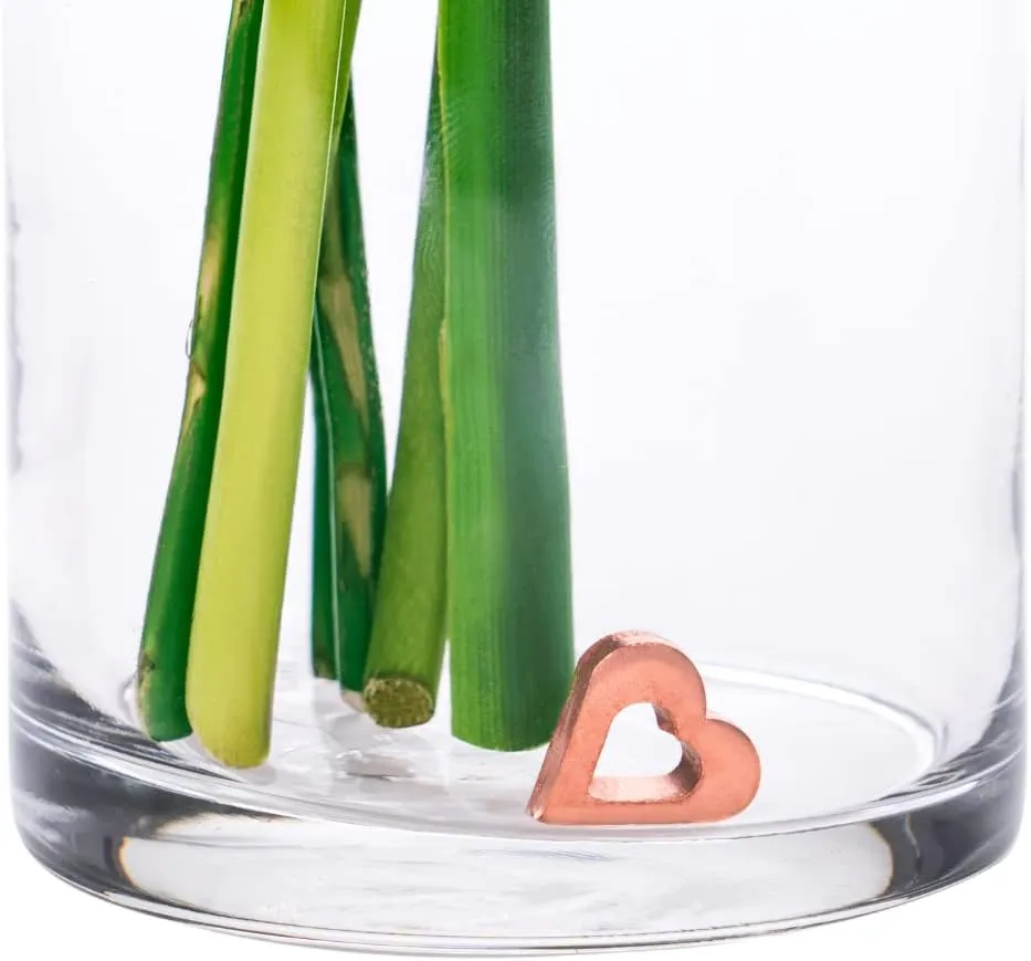 Flower Food Alternative for Fresh Cut Flowers. Copper Charm Keeps Flower Water Clean and Clear. Just Place it in the Vase, Reusable (1)
