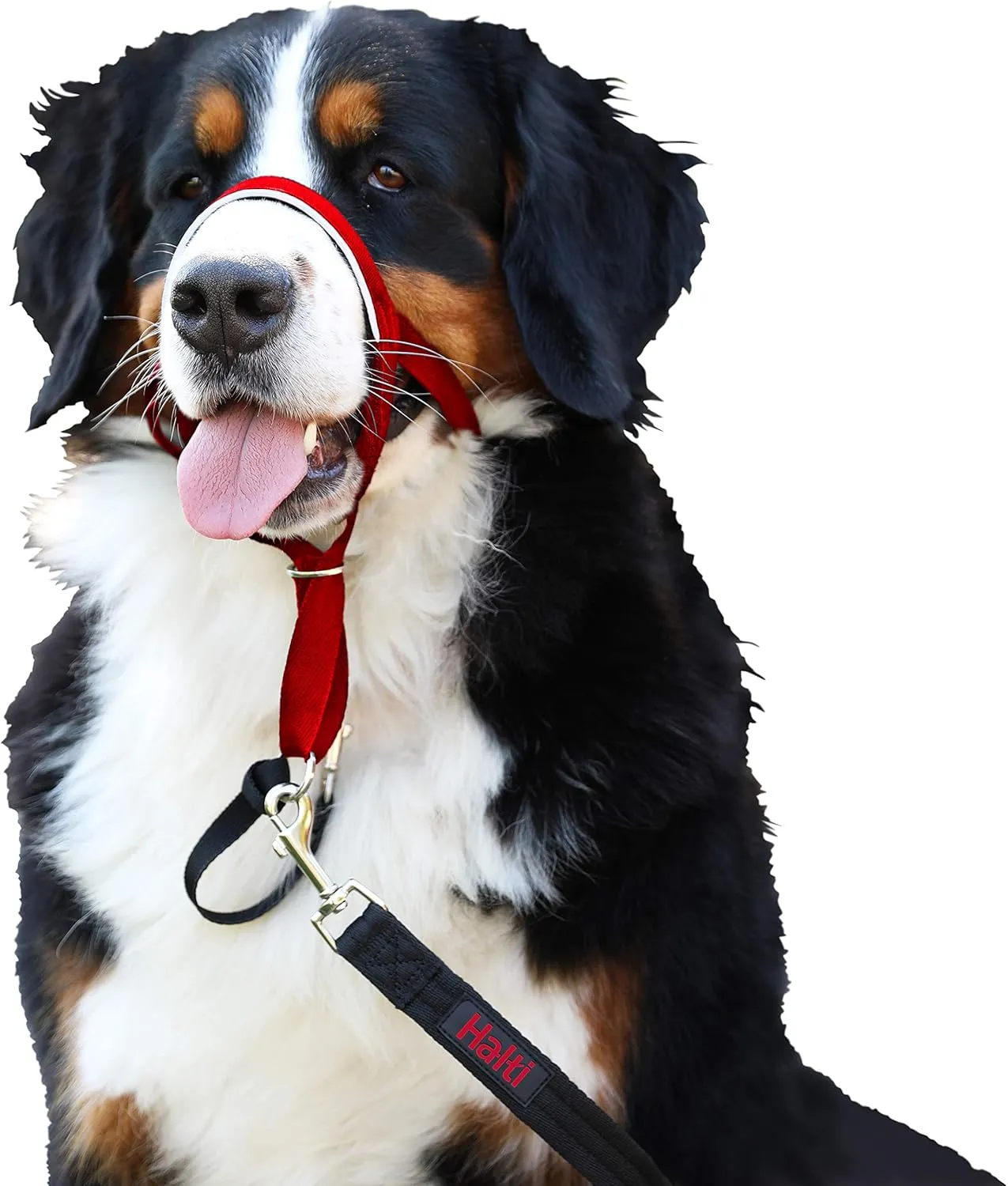 Halti Dogs Headcollar - Red - Size 4