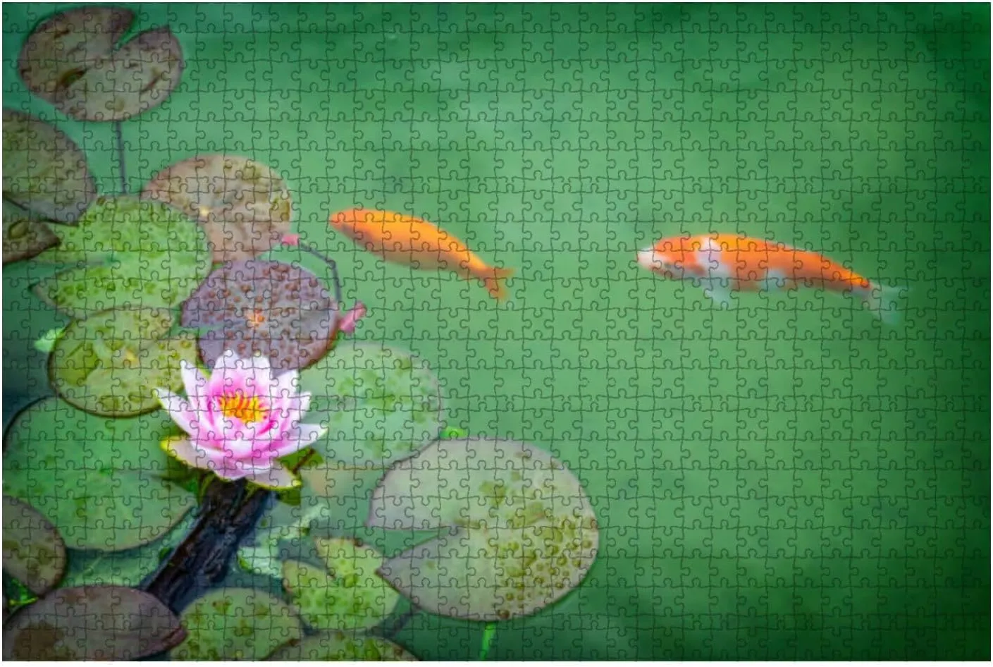 Jigsaw Puzzles 1000 Pieces for Adult Pink Water Lily koi carp Puzzle Game for Family Wooden Puzzle Toy Educational Games Puzzles for Home Decor