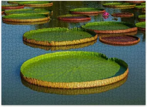 Jigsaw Puzzles 500 Pieces for Adult Giant Leaves Victoria Regia Puzzle Game for Family Wooden Puzzle Toy Educational Games Puzzles for Home Decor