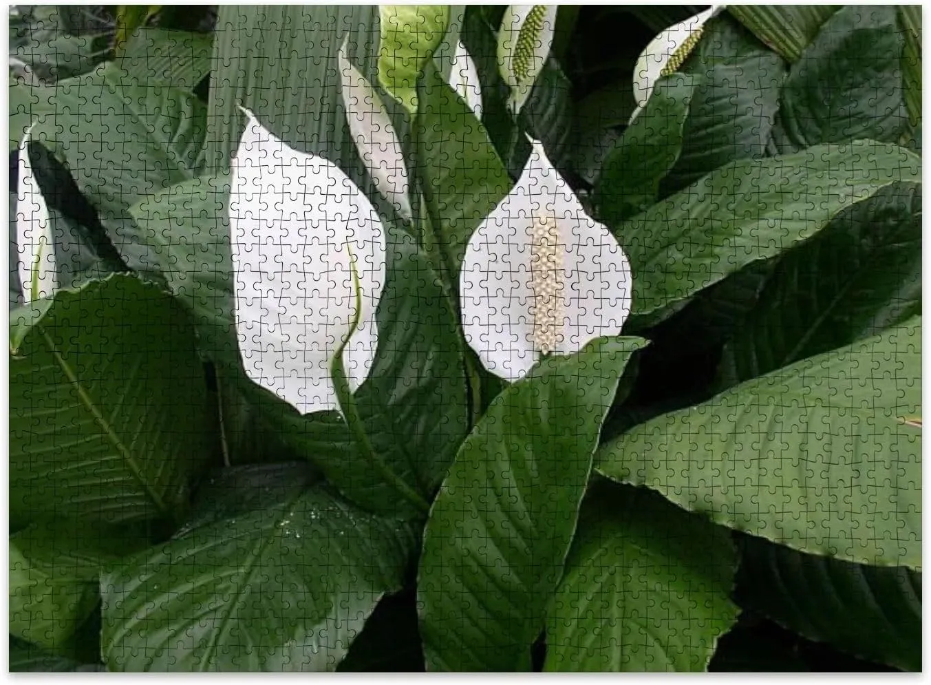 Jigsaw Puzzles 500 Pieces for Adult Lilies Puzzle Game for Family Wooden Puzzle Toy Educational Games Puzzles for Home Decor