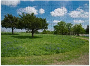 Jigsaw Puzzles 500 Pieces for Adult Local Resident Enjoys Beautiful Display Bluebonnet Wildflowers Warm Puzzle Game for Family Wooden Puzzle Toy Educational Games Puzzles for Home Decor
