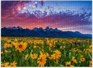Jigsaw Puzzles 500 Pieces for Adult Sunset Tetons Puzzle Game for Family Wooden Puzzle Toy Educational Games Puzzles for Home Decor