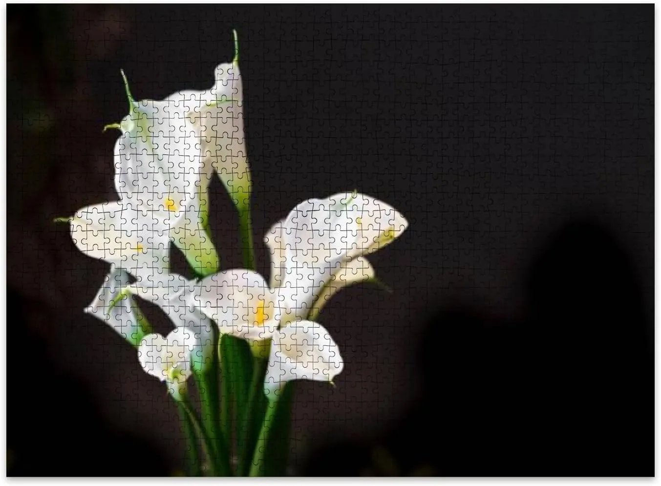 Jigsaw Puzzles 500 Pieces for Adult White Cala Lily Dark Puzzle Game for Family Wooden Puzzle Toy Educational Games Puzzles for Home Decor