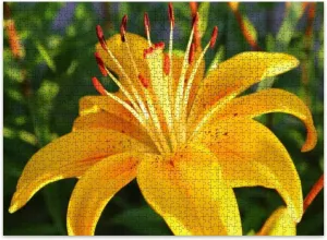 Jigsaw Puzzles 500 Pieces for Adult Yellow Beautiful Lily Close up Texture Puzzle Game for Family Wooden Puzzle Toy Educational Games Puzzles for Home Decor