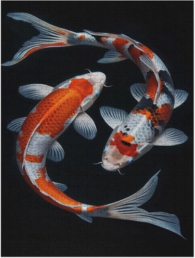 Jigsaw Puzzles 1000 Pieces Challenging Puzzle Two Koi Fish Swimming Wooden Puzzle Circle Puzzle Game for Family Parent-Child Holiday Puzzles for Educational Gift for Women Men