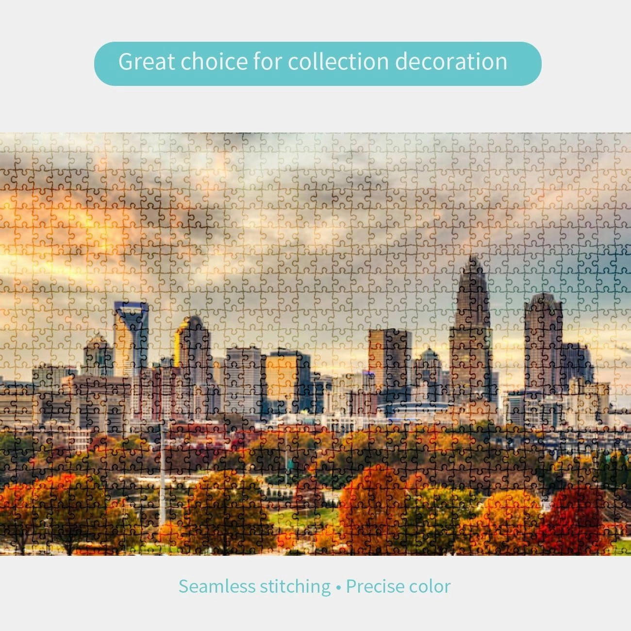 Jigsaw Puzzles 1000 Pieces for Adult Fall Charlotte NC Puzzle Game for Family Wooden Puzzle Toy Educational Games Puzzles for Home Decor