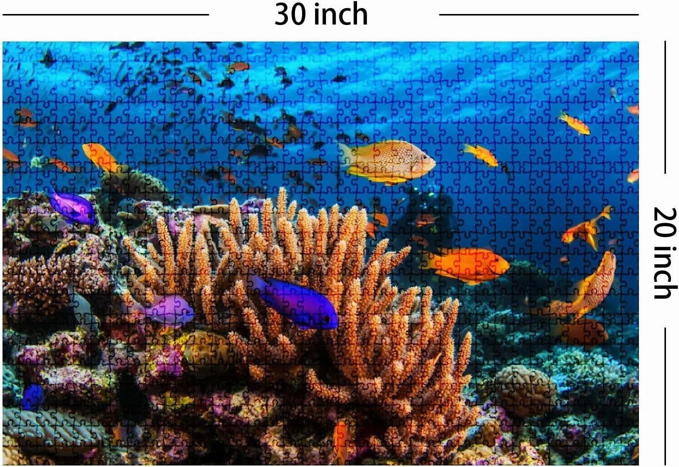 Jigsaw Puzzles 1000 Pieces for Adult Reefscape Hard Corals Tropical Fish Barrier Puzzle Game for Family Wooden Puzzle Toy Educational Games Puzzles for Home Decor
