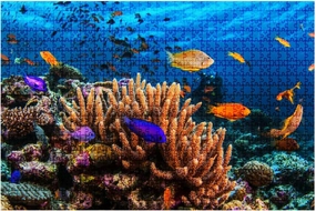 Jigsaw Puzzles 1000 Pieces for Adult Reefscape Hard Corals Tropical Fish Barrier Puzzle Game for Family Wooden Puzzle Toy Educational Games Puzzles for Home Decor