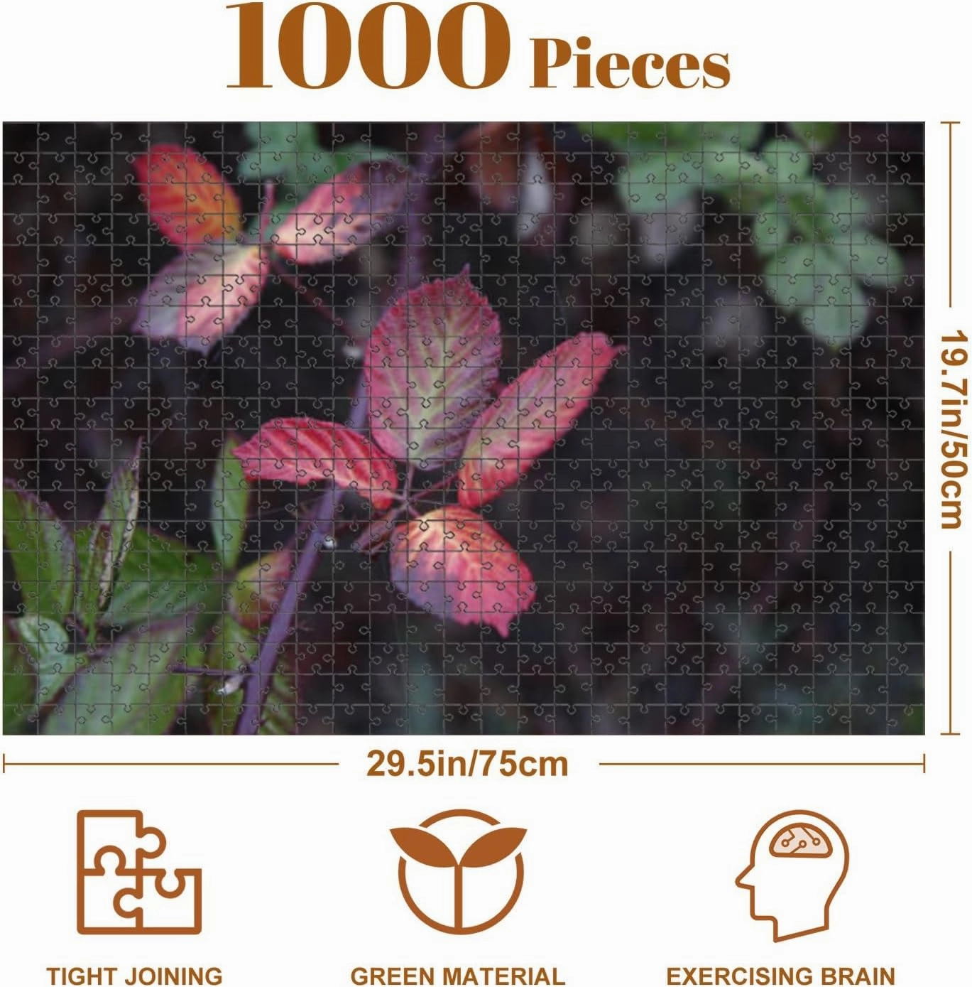 Jigsaw Puzzles 1000 Pieces for Adult Riverfront Regional Park Two Beautiful Lakes for Fishing Kayaking Puzzle Game for Family Wooden Puzzle Toy Educational Games Puzzles for Home Decor