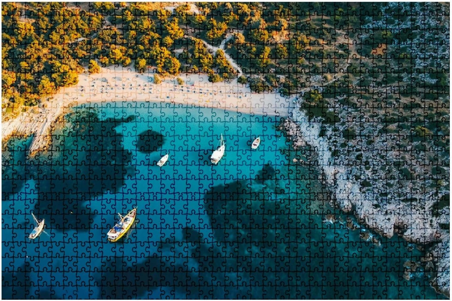 Jigsaw Puzzles 1000pcs Puzzles for Adults and Teens and Kids Aerial View Aquarium Bay Puzzle Animal Adult Toys, Unique Difficult and Challenge Puzzle Game Toys Gift for Teen Kids