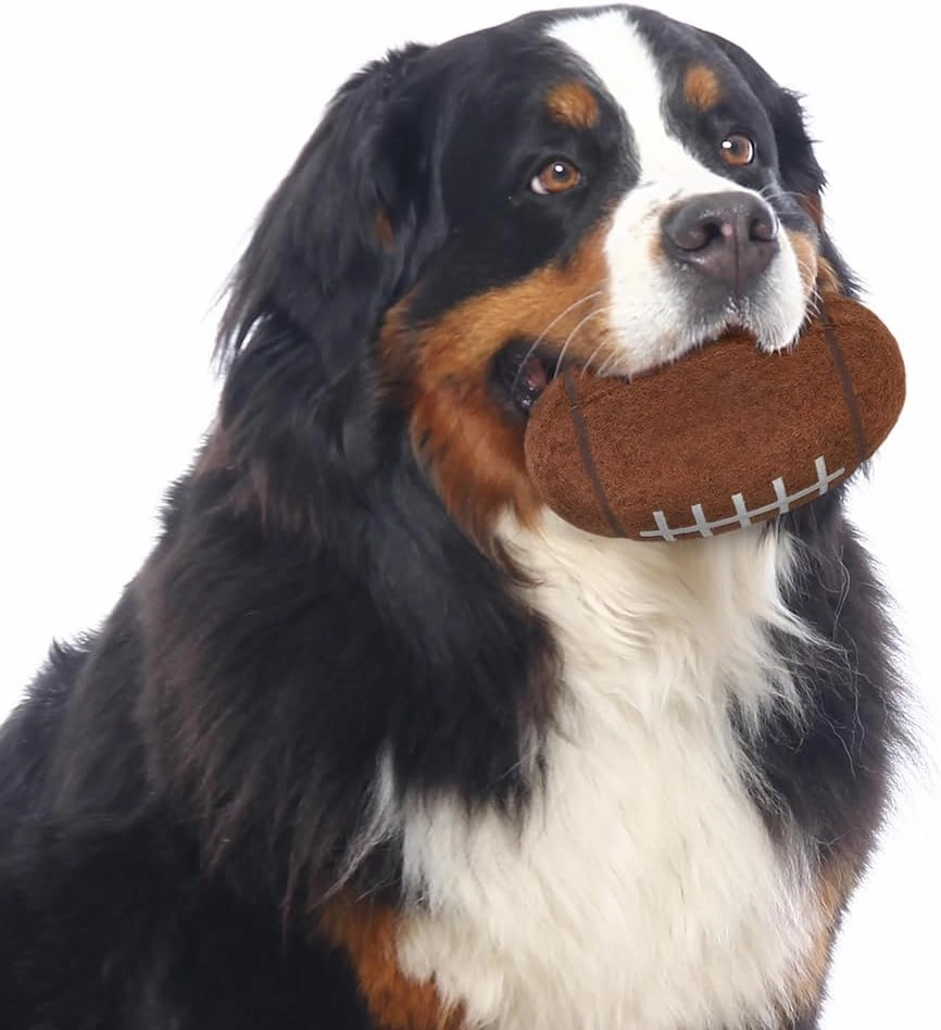 Littlearth NCAA Tough Chewer Pet Football