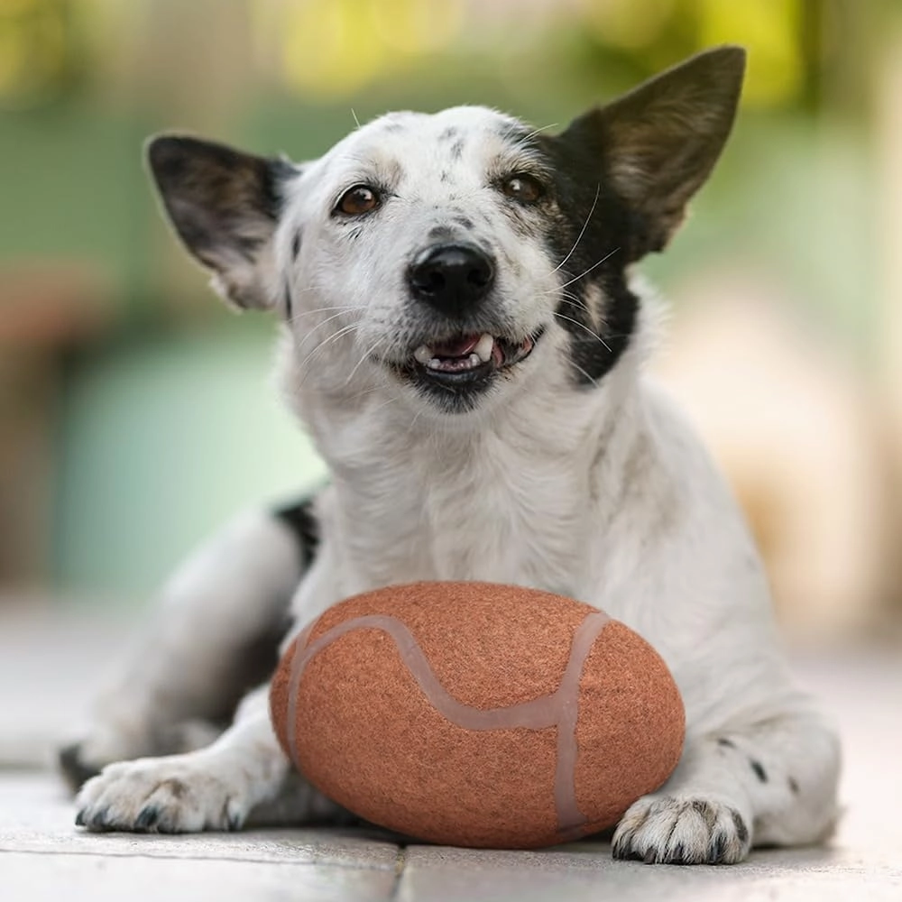 Littlearth NCAA Tough Chewer Pet Football