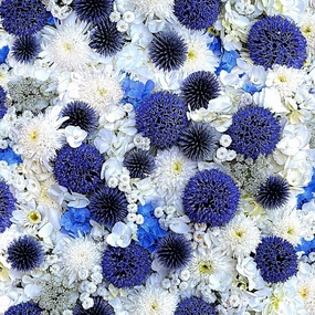 Maywood Studio Hand Picked Forget Me Not Globe Thistle White/Blue, Fabric by The Yard