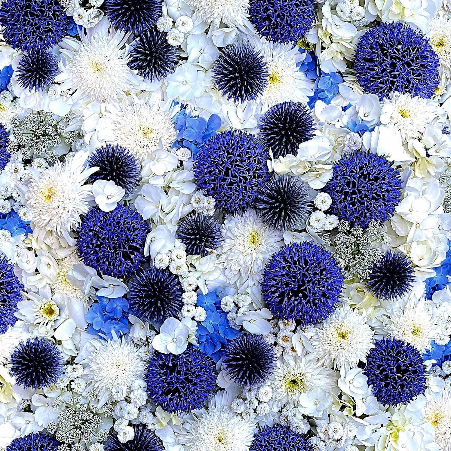 Maywood Studio Hand Picked Forget Me Not Globe Thistle White/Blue, Fabric by The Yard