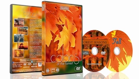 Nature DVD - 2 DVD Set - Colors of the Forest | Nature Scenery with Music and Nature Sounds