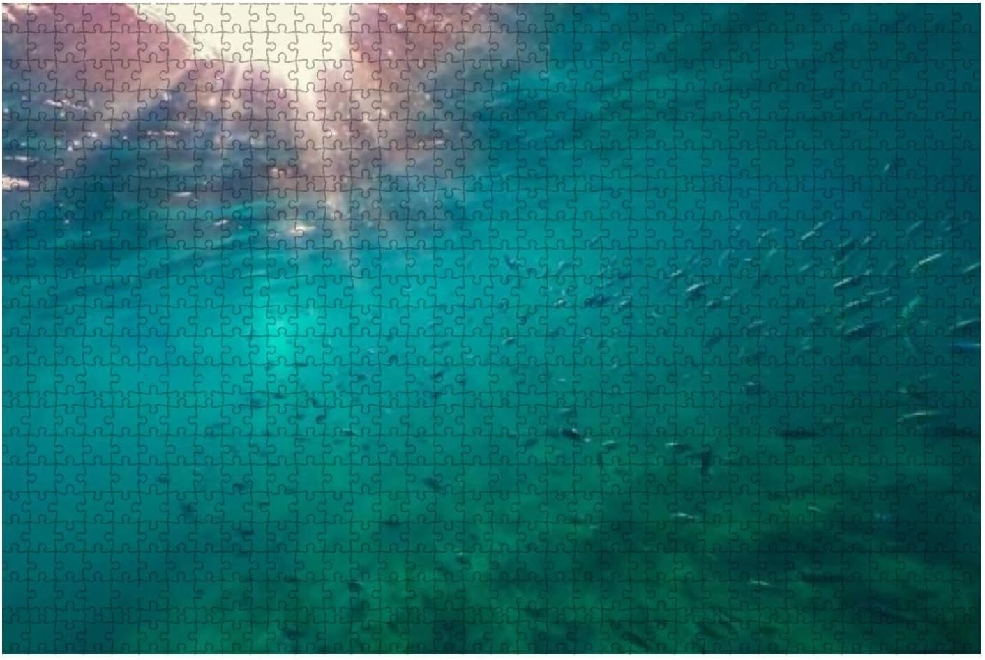 Puzzle 500 Piece Huge School Reef Fish Swim Turquoise Ocean Sunbeams Light Streaming - Relieving Games for Everyone-Jigsaw Puzzle As Funny Home Decor, Challenging Puzzles for Adults and Family