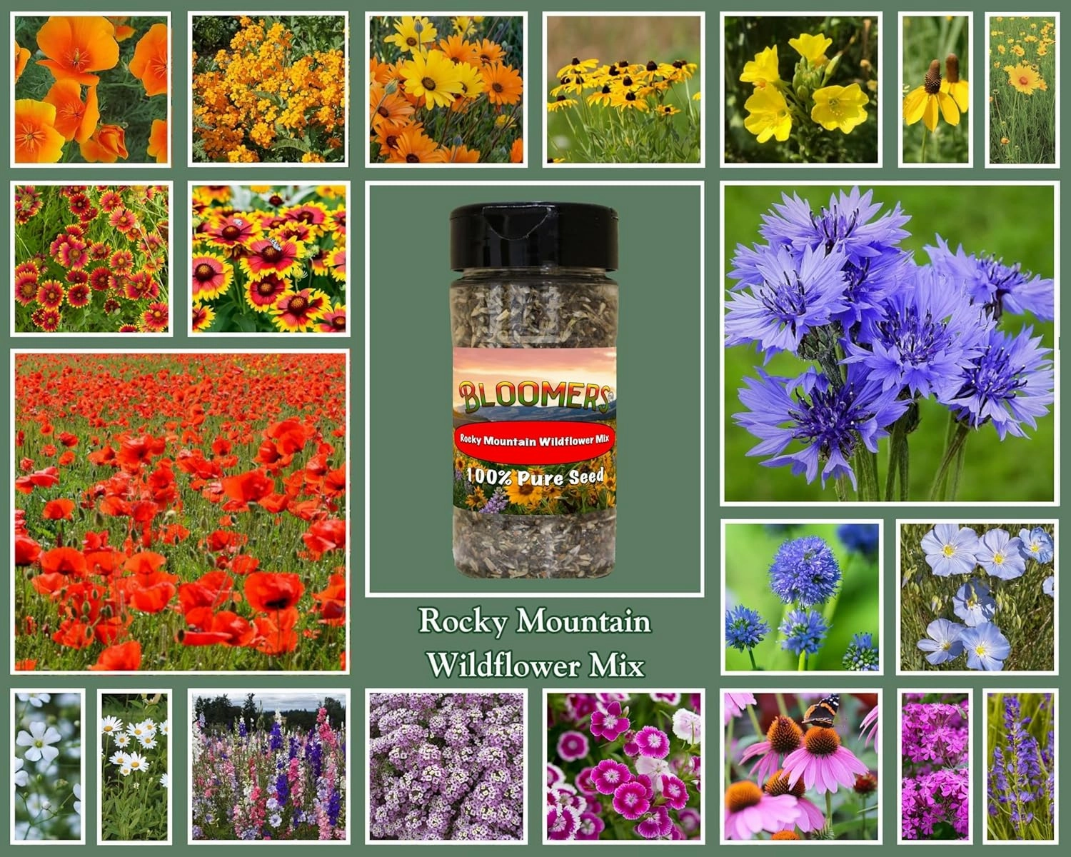 Rocky Mountain Wildflower Mix - 1/2 LB Bag