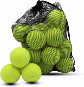 Swingers 20 Pack Training Tennis Balls, High Elasticity Practice Balls for Beginner, with Mesh Carry Bag