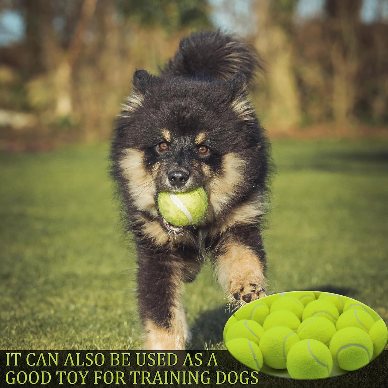 Swingers 20 Pack Training Tennis Balls, High Elasticity Practice Balls for Beginner, with Mesh Carry Bag