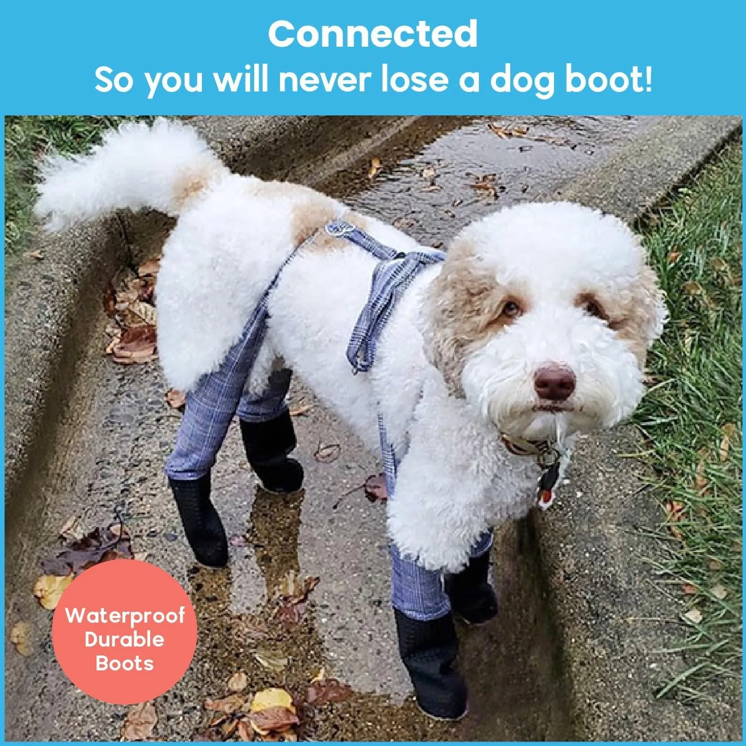 Walkee Paws New Deluxe Easy-On Dog Boot Leggings, Protects from Hot Pavement, Summer Showers, Wet Surfaces, Allergens (Classic, Small/Medium)