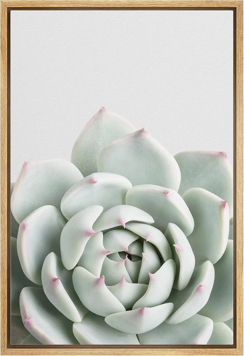 Zenobia Framed Canvas Print Wall Art Green Desert Rose Succulent with Red Tips Nature Plants Photography Realism Southwest Closeup Colorful Cool for Living Room, Bedroom, Office - 16"x24" Natural